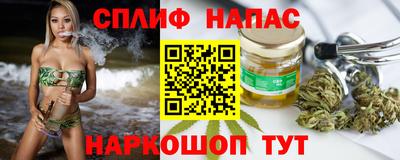 сатива Новокубанск
