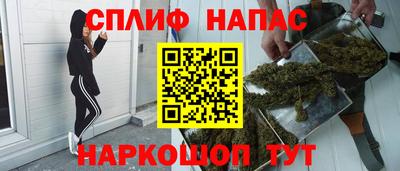 сатива Новокубанск